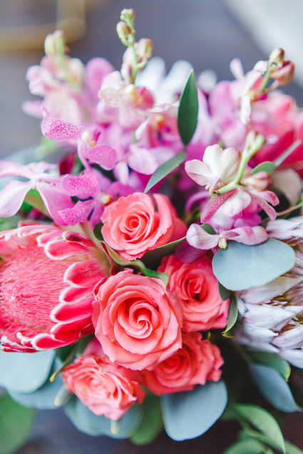 Bright pink flowers