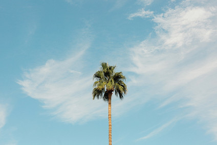 Palm Springs wedding at the Ace Hotel