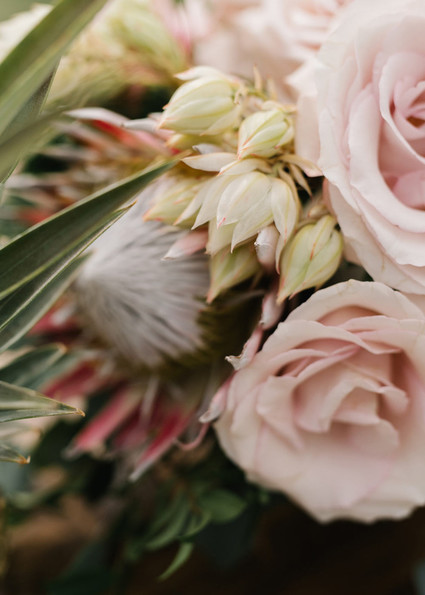 Pink flowers