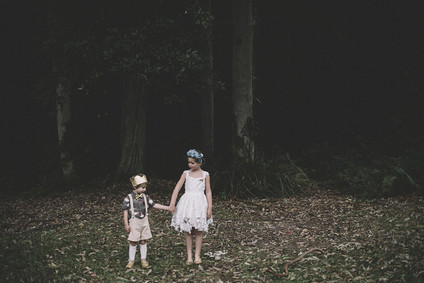 Moody swan lake birthday party