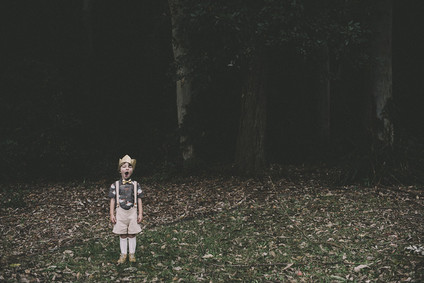 Moody swan lake birthday party