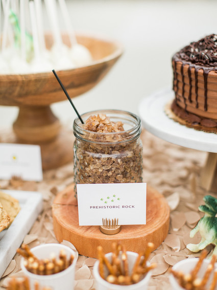 Modern dinosaur 1st birthday party