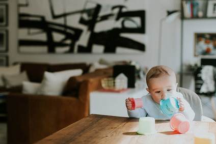 Bright Williamsburg family photos