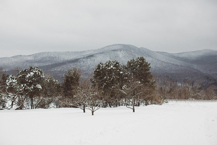 Winter wedding