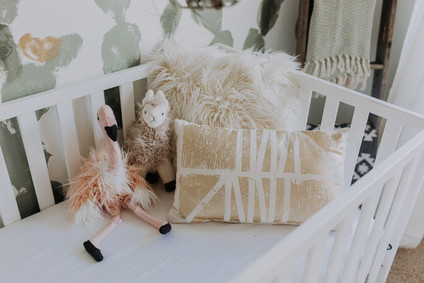 High Desert inspired girls nursery