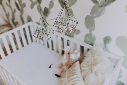 High Desert inspired girls nursery