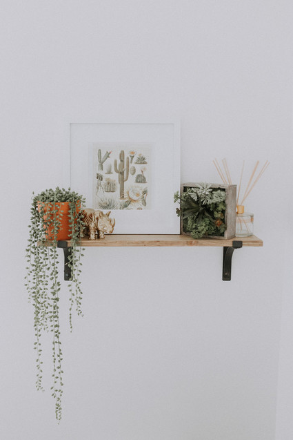 High Desert inspired girls nursery