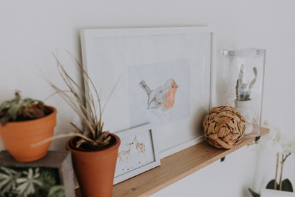 High Desert inspired girls nursery