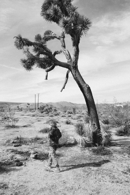 Joshua Tree family vacation