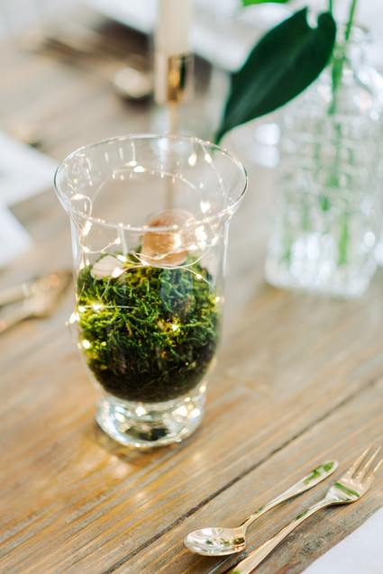 Terrarium decor
