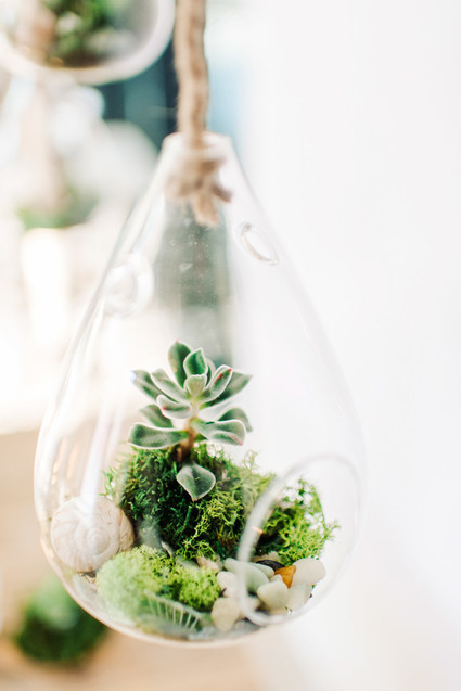 Hanging terrarium
