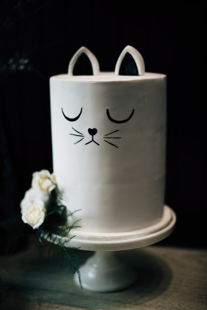 Cat cake