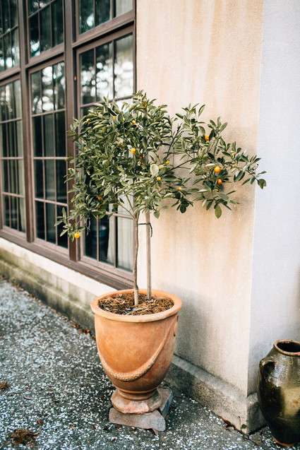 RiverOaks Charleston engagement shoot