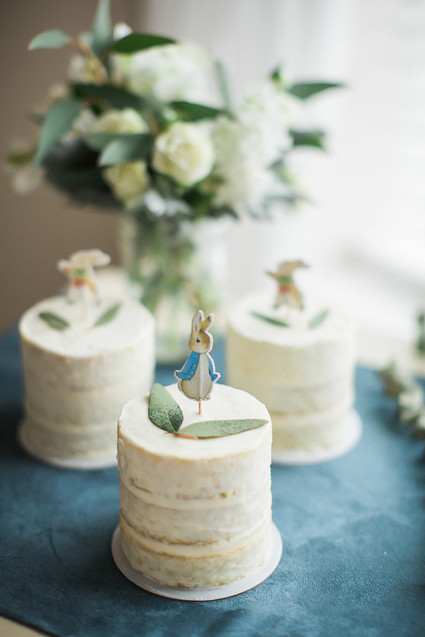 Peter Rabbit spring baby shower