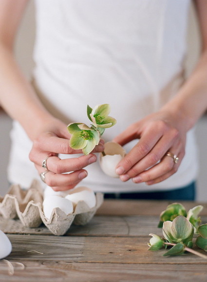 DIY eggshell planters