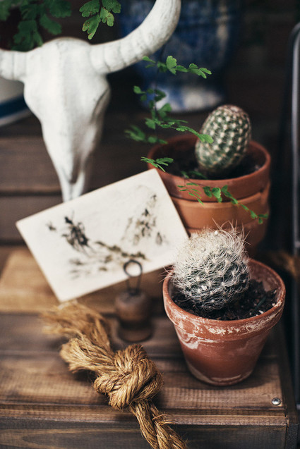 Laid back western birthday party