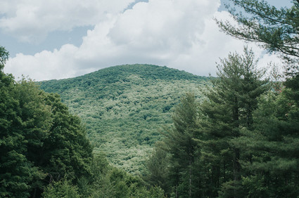DIY Catskills Community Center Wedding