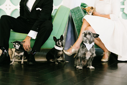 Wedding portrait
