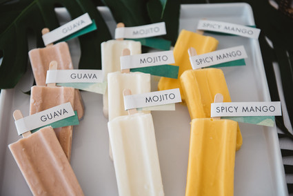 Tropical paletas Inspiration