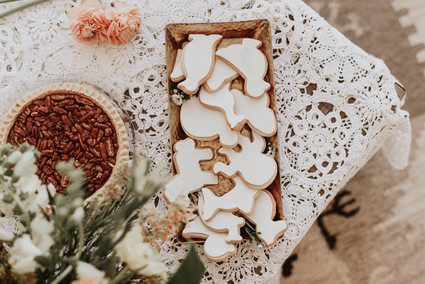 Party like an animal birthday party