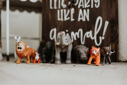Party like an animal birthday party Inspiration