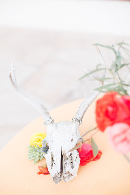 Desert decor