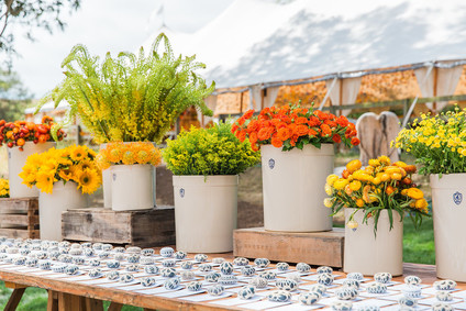 Colorful wedding flowers