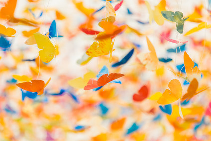 Butterfly hanging