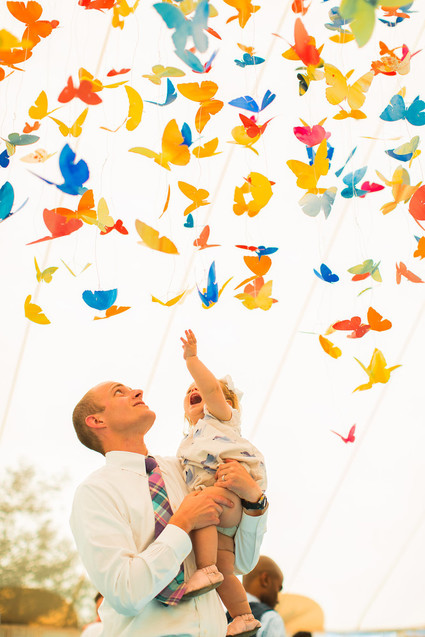Butterfly hanging