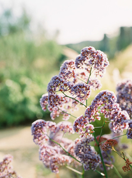Minimal Rustic ranch wedding inspiration