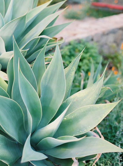 Minimal Rustic ranch wedding inspiration