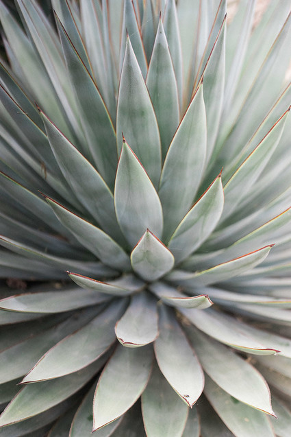 Minimal Rustic ranch wedding inspiration