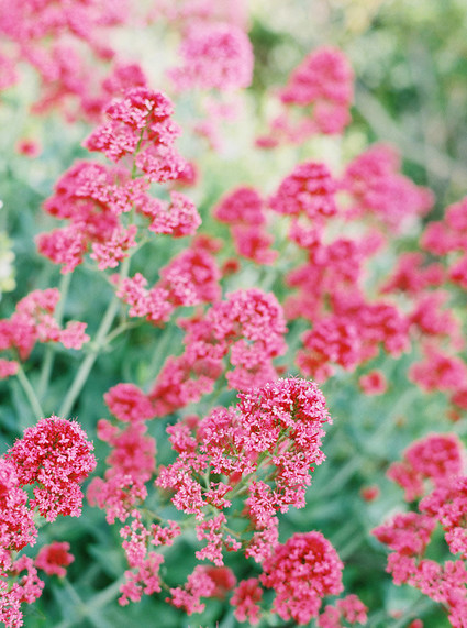 Minimal Rustic ranch wedding inspiration