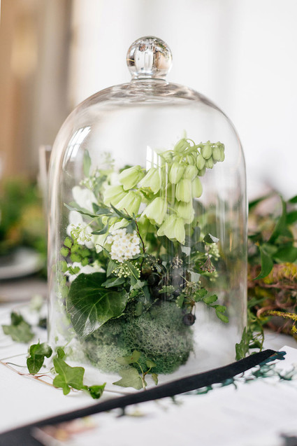 Terrarium centerpiece