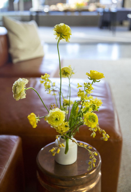 Spring flowers