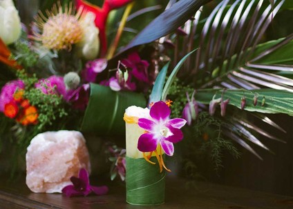 Tropical cocktail Inspiration