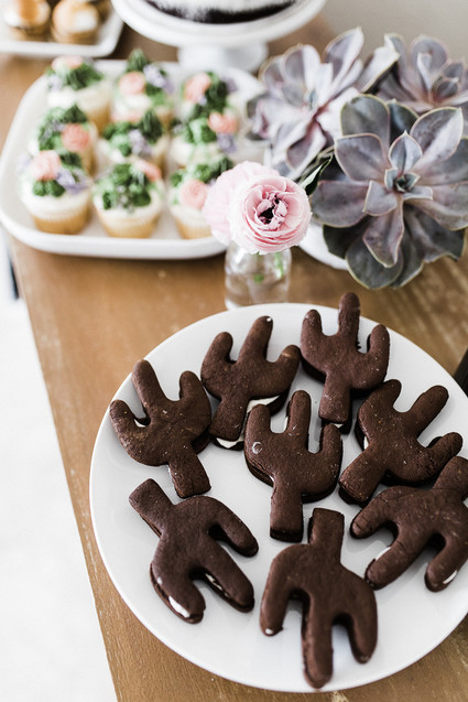 cactus cookies Inspiration