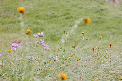 Family photos at Wind Wolves Preserve