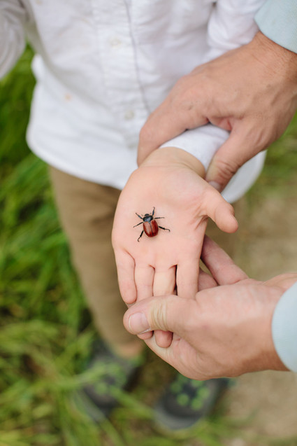 Family photos at Wind Wolves Preserve