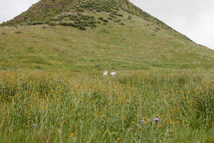 Family photos at Wind Wolves Preserve