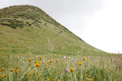 Family photos at Wind Wolves Preserve
