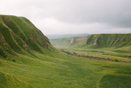 Family photos at Wind Wolves Preserve