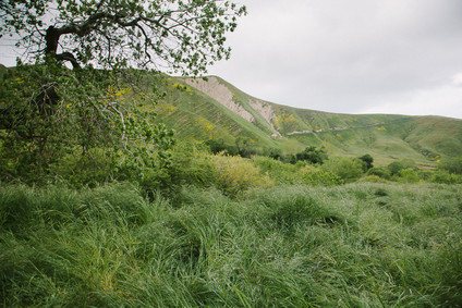 Family photos at Wind Wolves Preserve