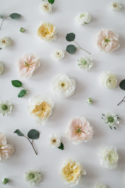 Spring flowers