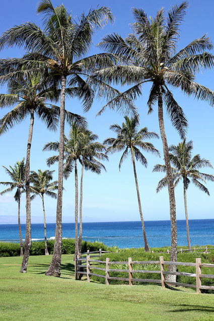 Montage Kapalua Inspiration