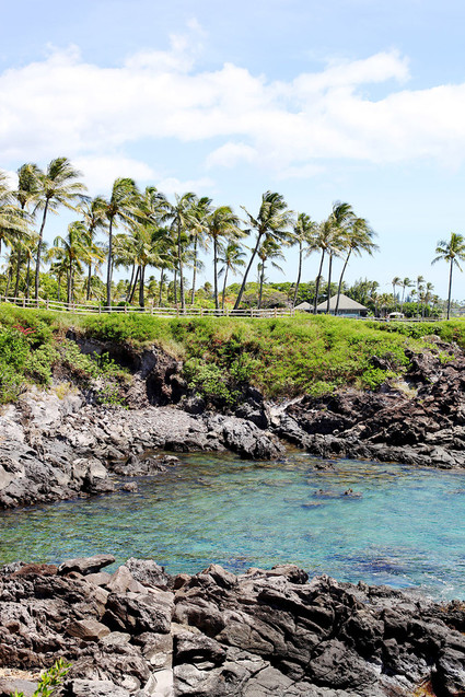 Montage Kapalua Inspiration