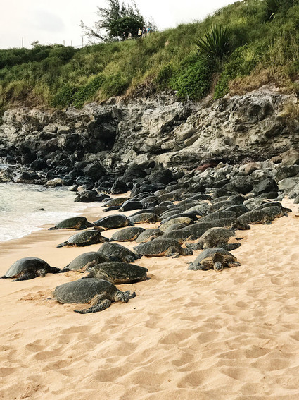 Maui, Hawaii Inspiration