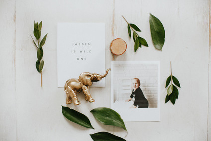 Wild One first birthday party