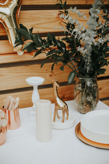 Wild One first birthday party