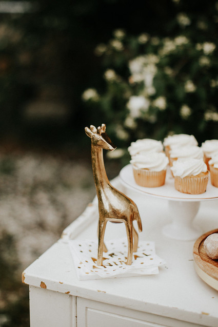 Wild One first birthday party